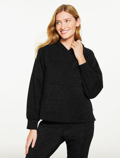 Talbots BRUSHED METALLIC HOODIE