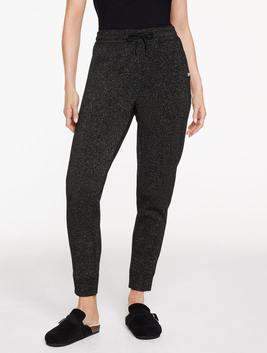 Talbots BRUSHED METALLIC JOGGERS