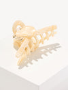 IVORY MULTI